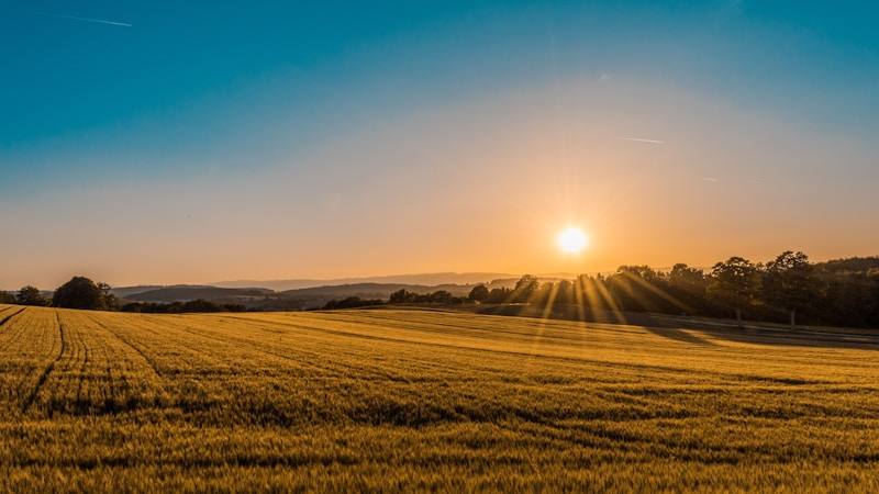 Land Sale and Purchase